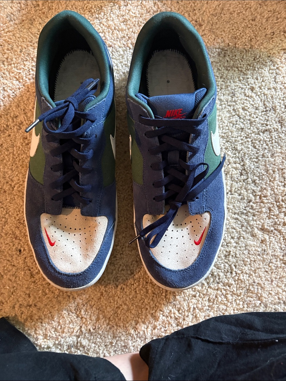 Nike Navy Blue and Green Low-Top Sneakers with White Toe and Red Swoosh